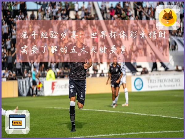 老手经验分享：世界杯体彩竞猜时需要了解的五大关键要素