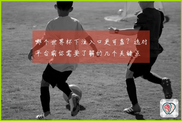 哪个世界杯下注入口更可靠？选对平台前你需要了解的几个关键点
