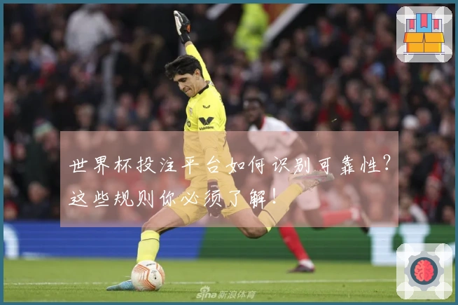 世界杯投注平台如何识别可靠性？这些规则你必须了解！