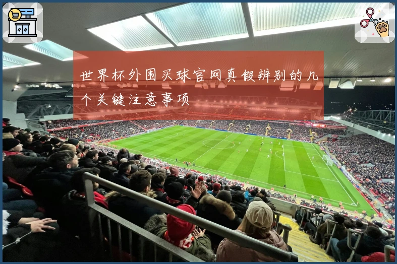 世界杯外围买球官网真假辨别的几个关键注意事项