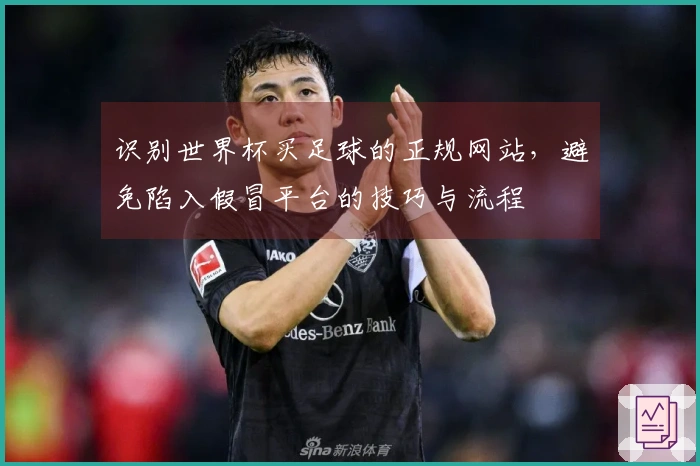 识别世界杯买足球的正规网站，避免陷入假冒平台的技巧与流程