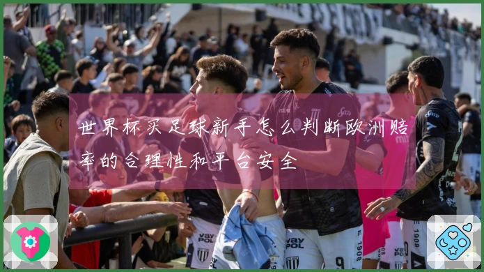 世界杯买足球新手怎么判断欧洲赔率的合理性和平台安全