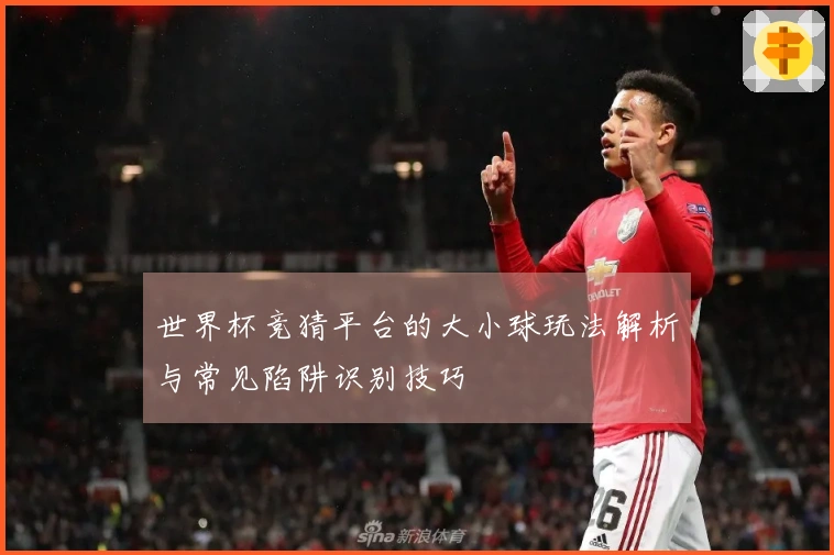 世界杯竞猜平台的大小球玩法解析与常见陷阱识别技巧