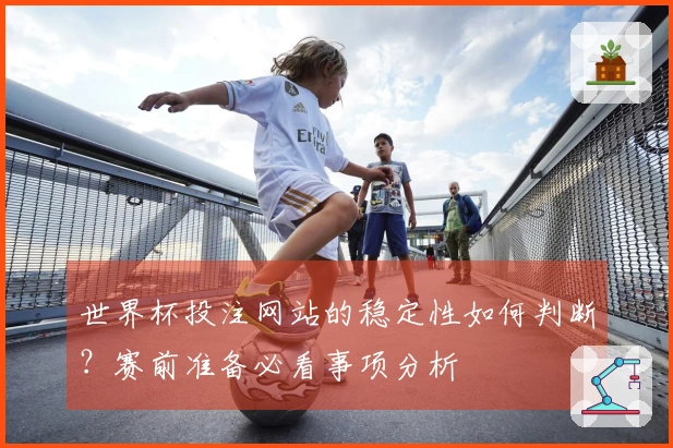 世界杯投注网站的稳定性如何判断？赛前准备必看事项分析