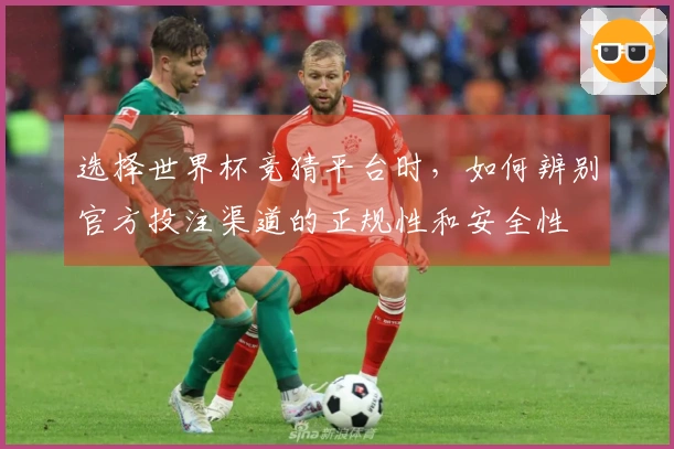 选择世界杯竞猜平台时，如何辨别官方投注渠道的正规性和安全性