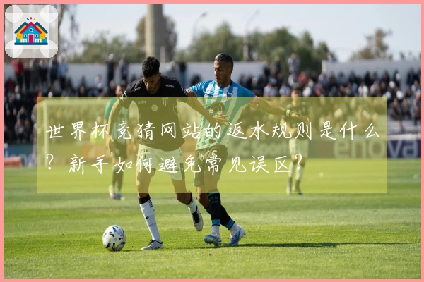 世界杯竞猜网站的返水规则是什么？新手如何避免常见误区？
