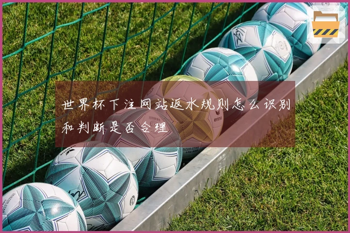世界杯下注网站返水规则怎么识别和判断是否合理