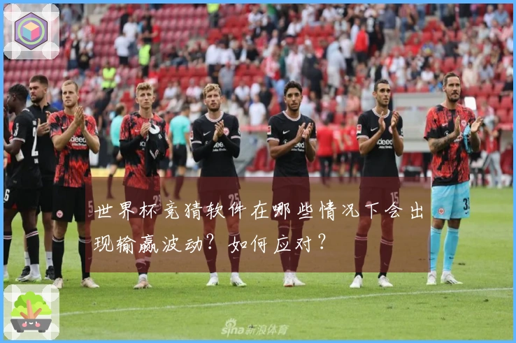 世界杯竞猜软件在哪些情况下会出现输赢波动？如何应对？