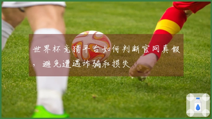 世界杯竞猜平台如何判断官网真假，避免遭遇诈骗和损失