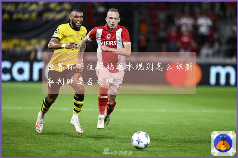 世界杯下注网站返水规则怎么识别和判断是否合理
