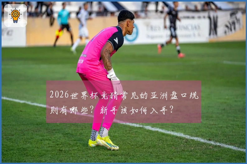 2026世界杯竞猜常见的亚洲盘口规则有哪些？新手该如何入手？