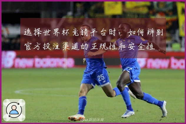选择世界杯竞猜平台时，如何辨别官方投注渠道的正规性和安全性