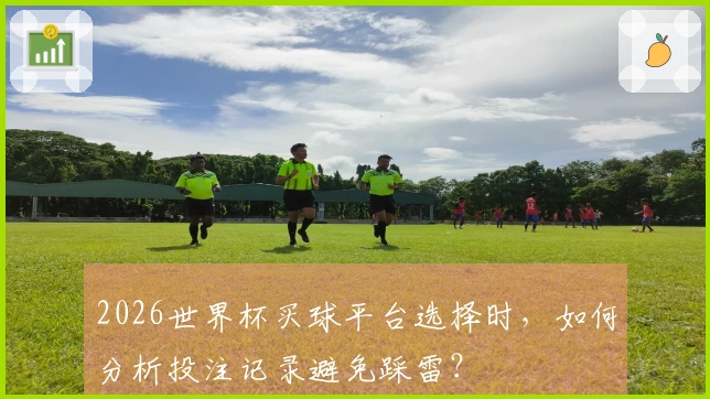2026世界杯买球平台选择时，如何分析投注记录避免踩雷？