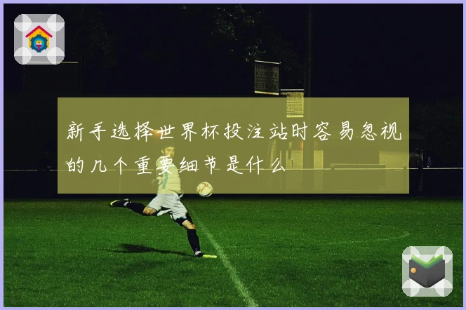 新手选择世界杯投注站时容易忽视的几个重要细节是什么