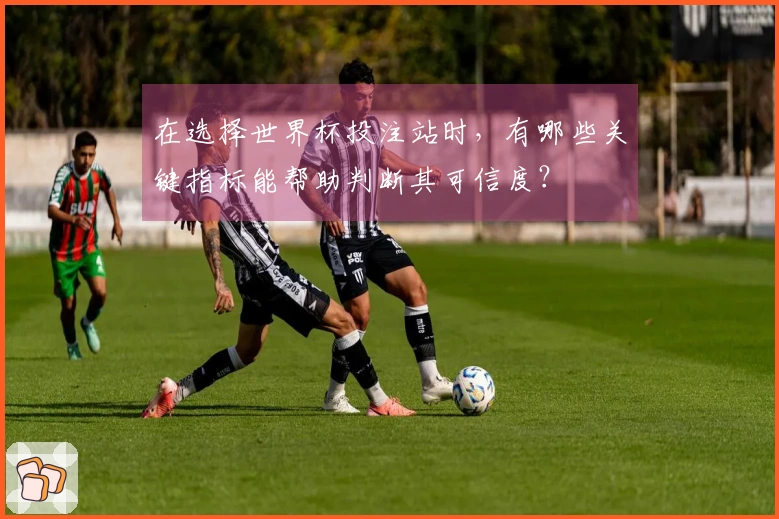 在选择世界杯投注站时，有哪些关键指标能帮助判断其可信度？