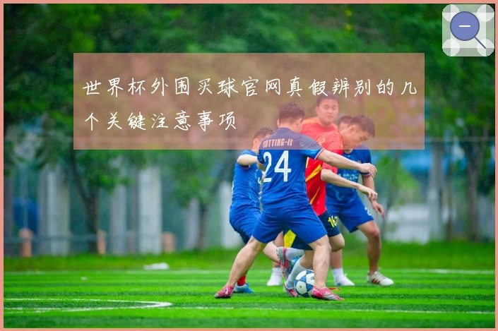 世界杯外围买球官网真假辨别的几个关键注意事项