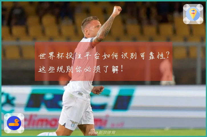 世界杯投注平台如何识别可靠性？这些规则你必须了解！