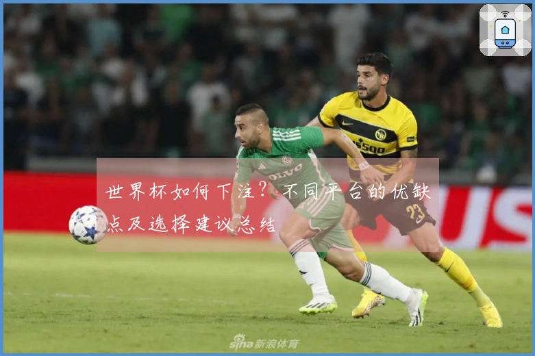世界杯如何下注？不同平台的优缺点及选择建议总结