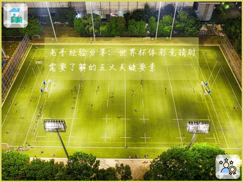 老手经验分享：世界杯体彩竞猜时需要了解的五大关键要素