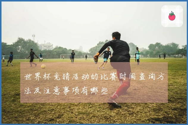 世界杯竞猜活动的比赛时间查询方法及注意事项有哪些