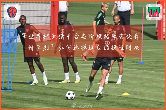 世界杯竞猜平台各阶段赔率变化有何区别？如何选择适合的投注时机？