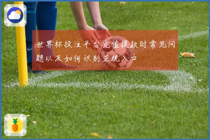 世界杯投注平台充值提款时常见问题以及如何识别正规入口